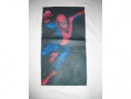 /album/remeras-estampadas/remera-hombre-arana-jpg/